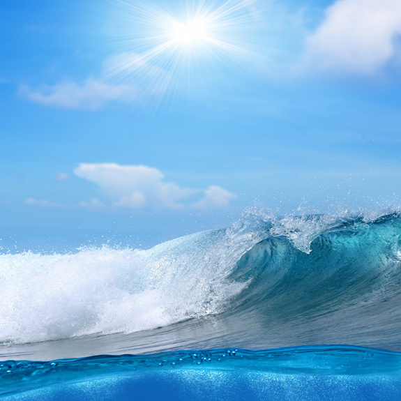 �й���������